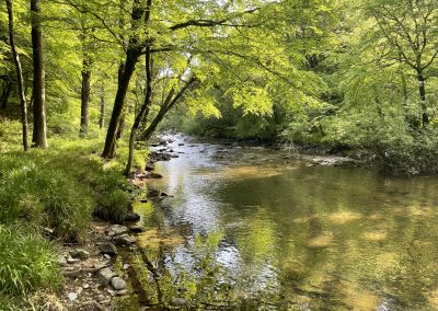 EWS - Exmoor Safari River